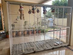 Large Cage with Budgies 11x7x3.5 ft