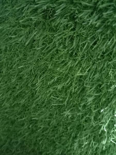 alazeem green jali and top quality grass available 4