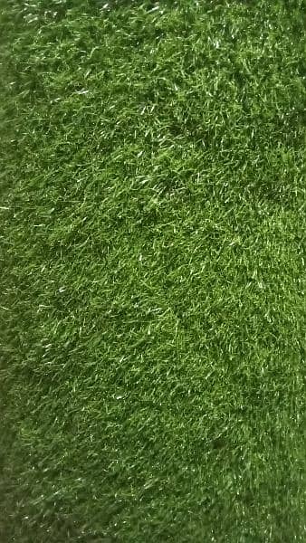 alazeem green jali and top quality grass available 8