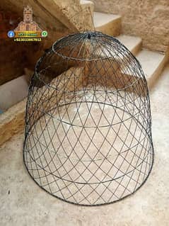 New Aseel Cage Chikoo Tokra 0