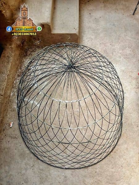 New Aseel Cage Chikoo Tokra 3