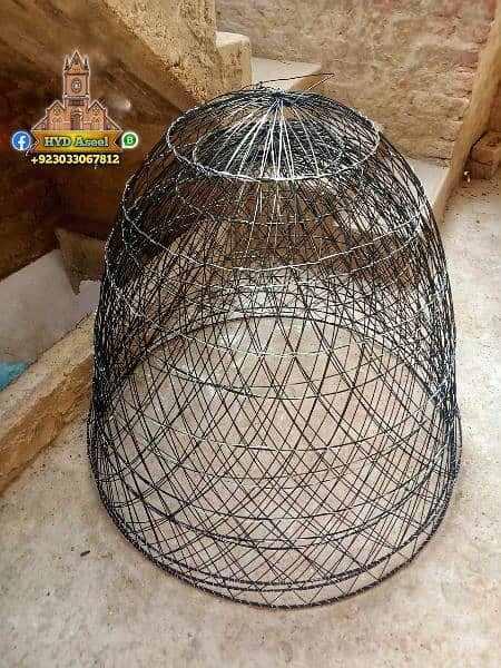 New Aseel Cage Chikoo Tokra 5