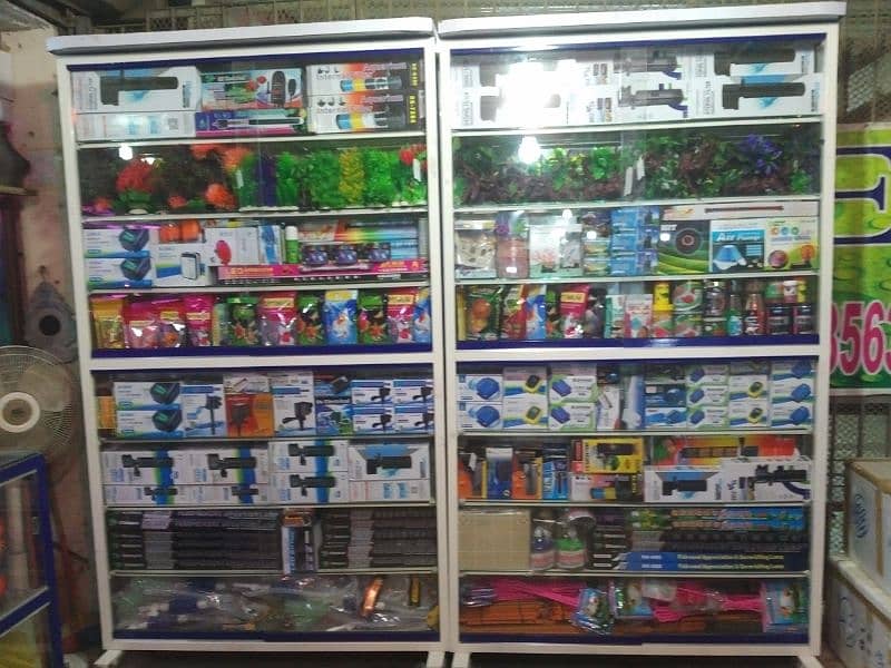 fishes and accessories for sale 9