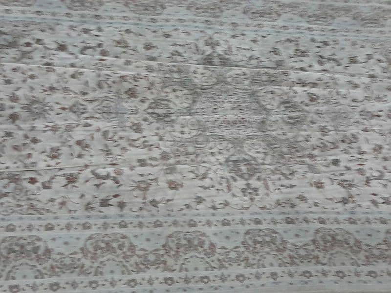 Carpet 4