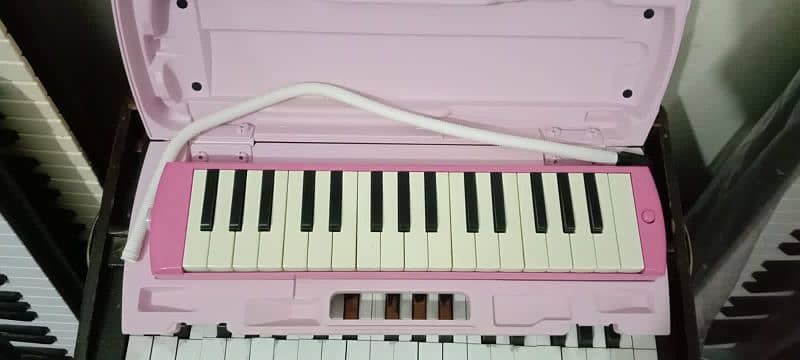 Melodica Pianica (Harmonium, Keyboard) 6