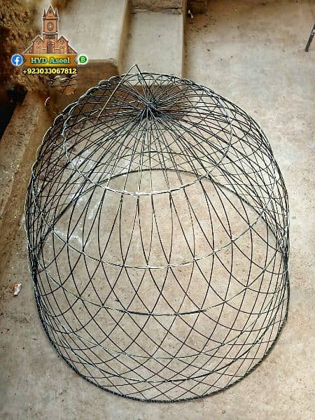 new aseel cage chikoo tokra 3