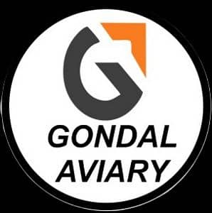 GONDAL