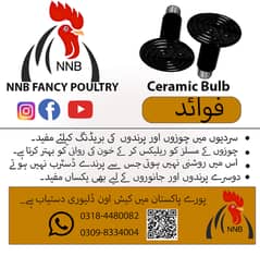 NNB fancy poultry  incubator, brooder , birds , poultry  accessory