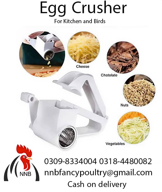 NNB fancy poultry  incubator, brooder , birds , poultry  accessory 3