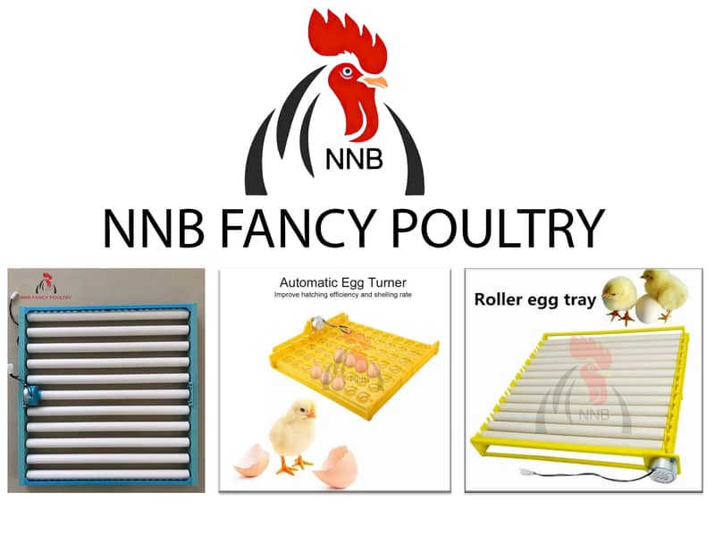 NNB fancy poultry  incubator, brooder , birds , poultry  accessory 5