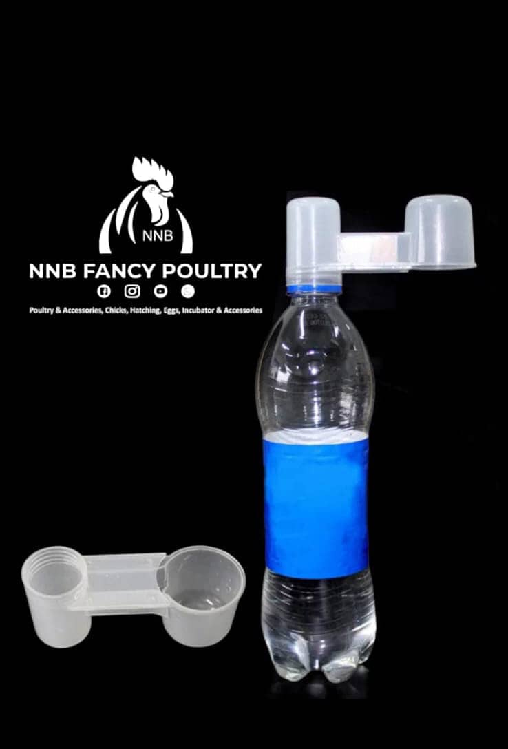 NNB fancy poultry  incubator, brooder , birds , poultry  accessory 15