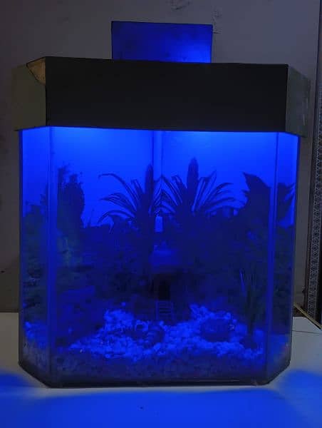 Fish Aquarium 1