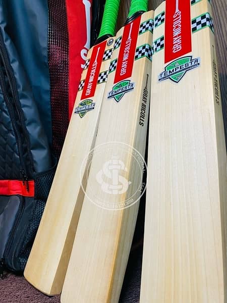 Graynicolls tempesta 1.3  cricket bat(  ) 15