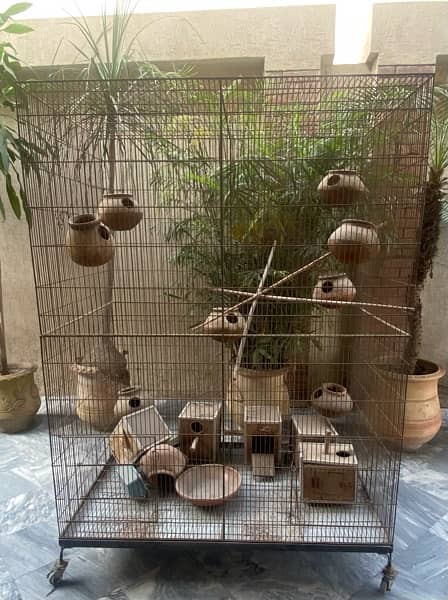 Big Colony Cage +Breeding boxes aur chujiyan 1