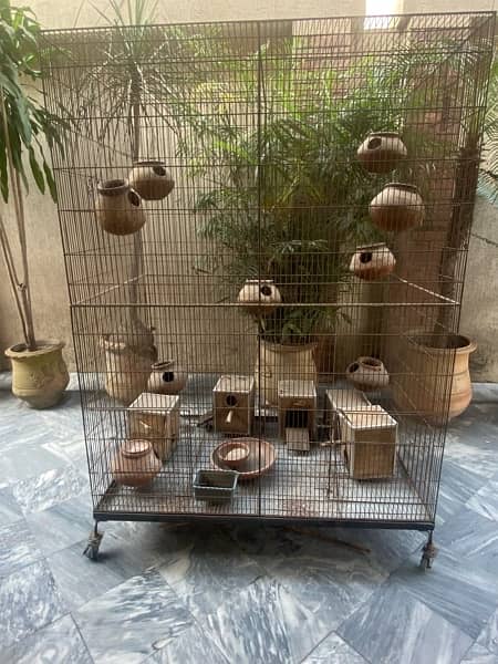 Big Colony Cage +Breeding boxes aur chujiyan 2