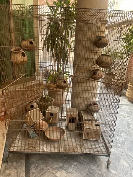 Big Colony Cage +Breeding boxes aur chujiyan 3