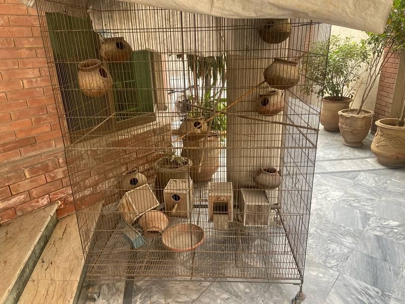 Big Colony Cage +Breeding boxes aur chujiyan 4