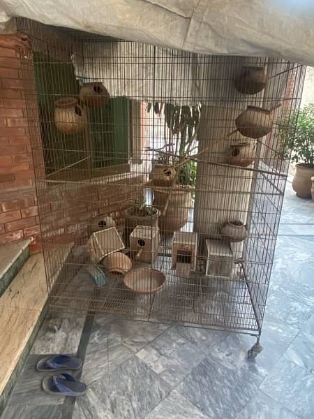 Big Colony Cage +Breeding boxes aur chujiyan 6