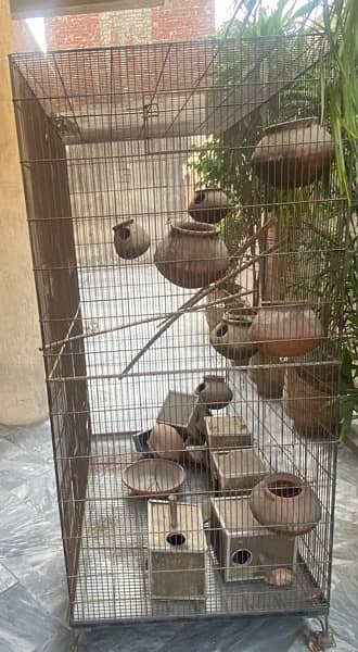 Big Colony Cage +Breeding boxes aur chujiyan 7