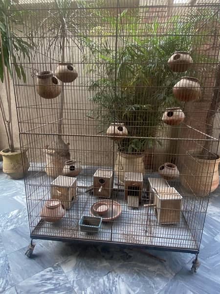 Big Colony Cage +Breeding boxes aur chujiyan 9