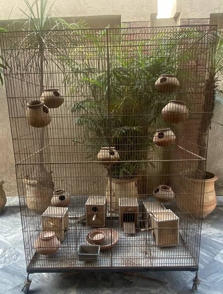 Big Colony Cage +Breeding boxes aur chujiyan 10