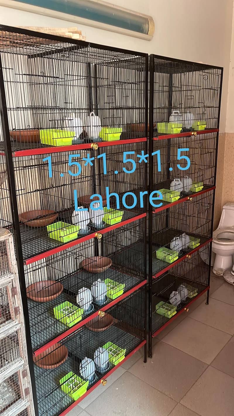 BIRD CAGES/CAGES FOR SALE/CAGE/IRON CAGE/LOVE BIRD/COCKTAIL/CAT/DOGBRA 5