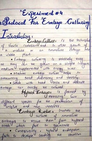 Hand writing assignment work 2