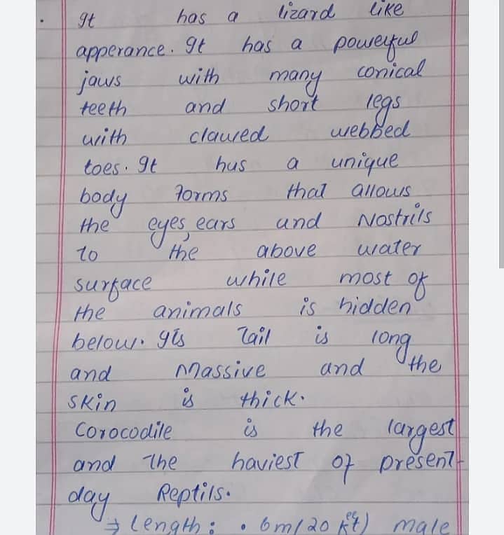 Hand writing assignment work 12