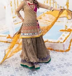 Large Size Beautiful Brand New Mehndi Dress