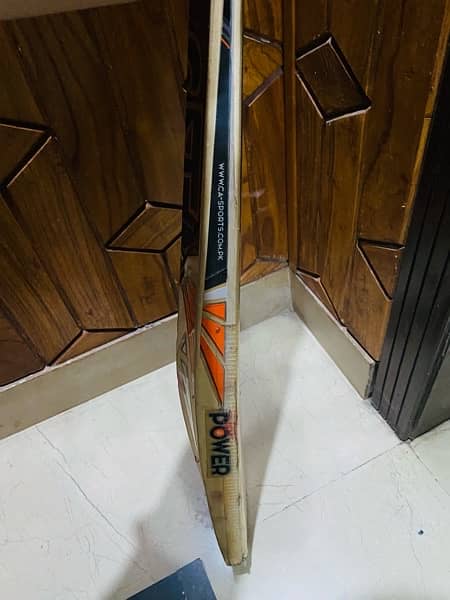 Hardball Cricket bat 2