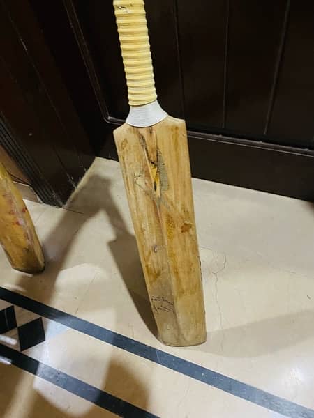 Hardball Cricket bat 5