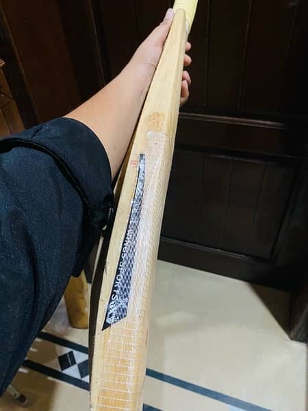 Hardball Cricket bat 6