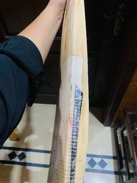 Hardball Cricket bat 8