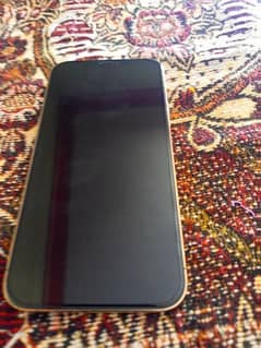 iphone 12 pro max 256