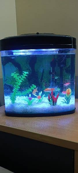 Imported Aquarium for Sale 1