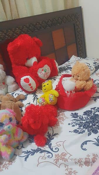 all bears in cheap price 3