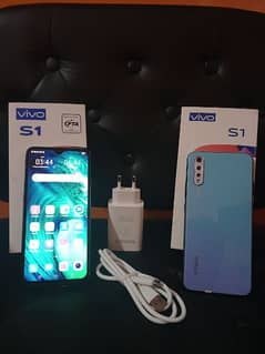 vivo