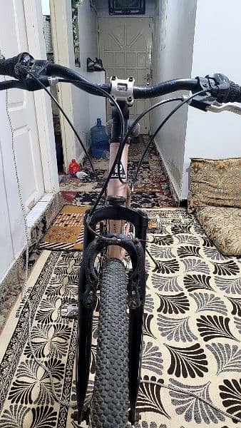 Imported Mountain Bike 3