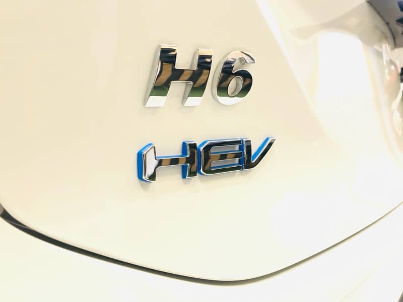 HAVAL H6 HEV / H6 2.0 AWD / H6 1.5T / HAVAL JOLION 18