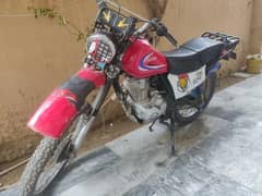 United trail best sale bike olx