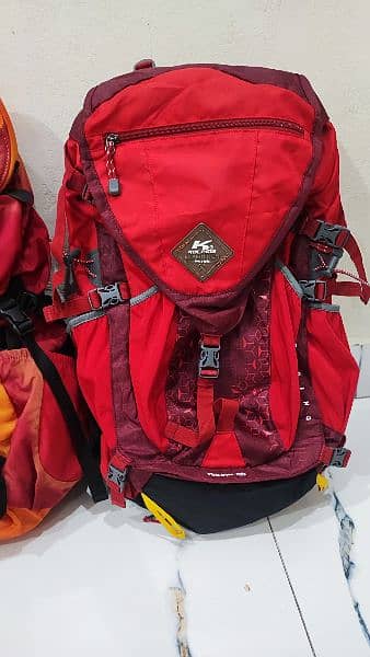 The North face. hiking bags laptop and luggage bag 15