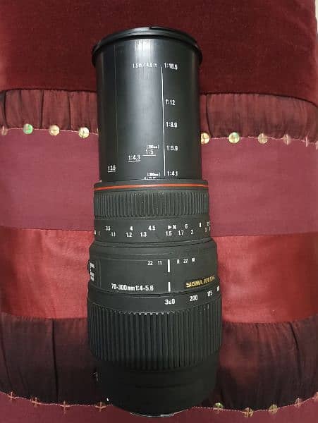 Sigma APO DG 70-300(1:4,5.6) 2