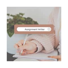 I will do your assignment and writing job