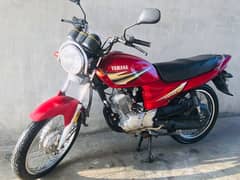 Yamaha yb125z 2019