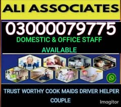 maid provider cook provide helper driver