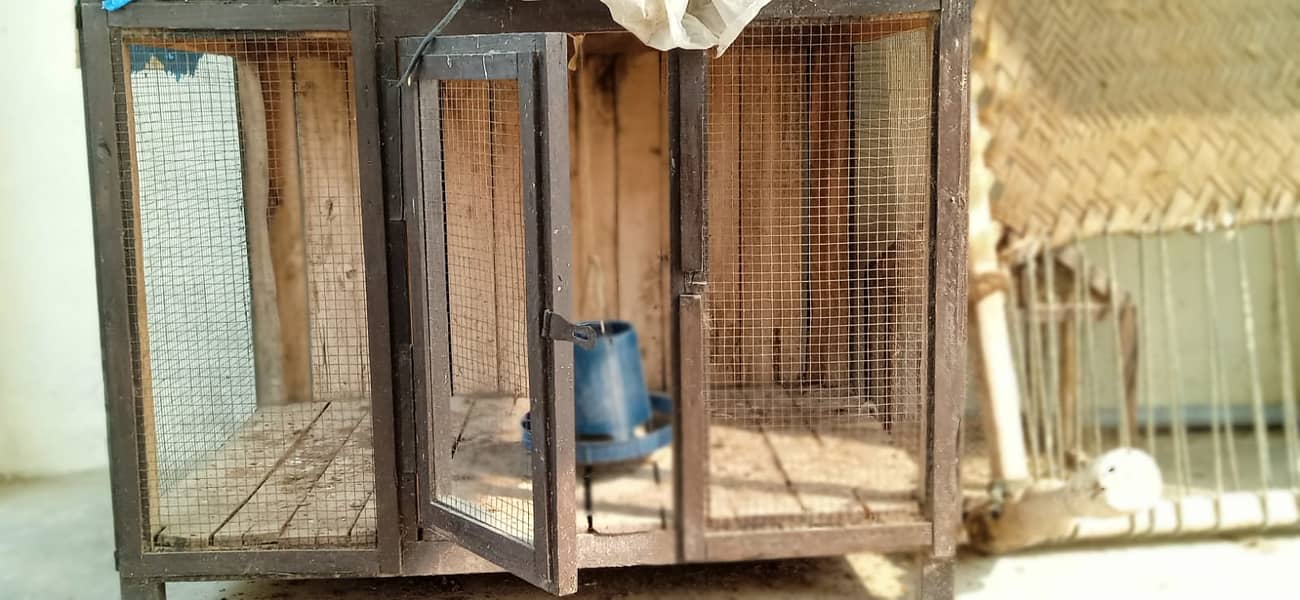 Wood Cage 7