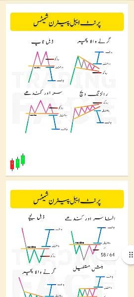 Simple Trading Book Urdu O3O9O98OOOO what'sapp 14