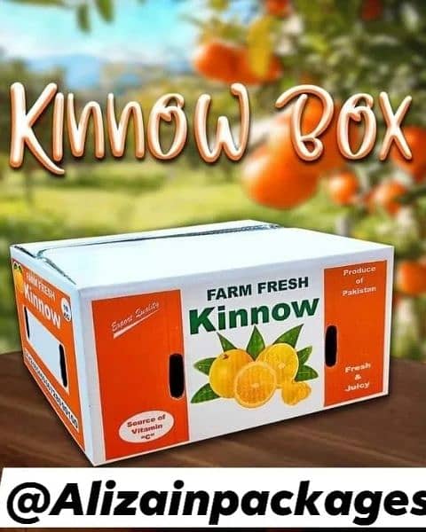corrugated packaging/carton / Rigid box / fruit packaging/Ecom boxes 4