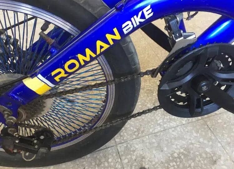Roman Bike (2019) - Mountain Bike for sale 4