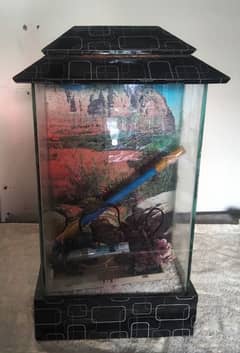 Small aquarium with accessories